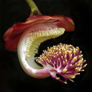 Байки из леса