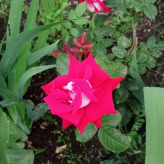 Новости Верхнебаканского сельского округа🇷🇺🇷🇺🇷🇺