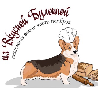 Щенки вельш корги пемброк питомника «Из Вкусной Булочной»