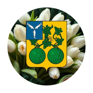 Балашовский район |Администрация