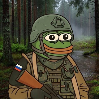 Лысые из ЖАБИ-ЖАБИ