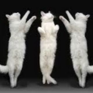 Балетный Петербург: экскурсии и прогулки с Ольгой Федорченко