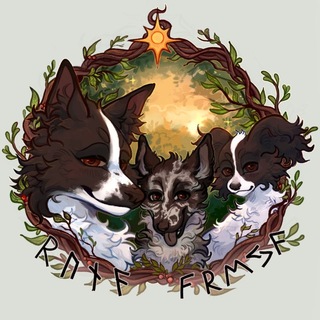 • Балтийские монохромные •