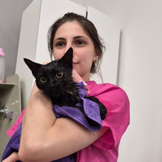 Балути🐯 сеть груминг салонов. Москва. Стрижка собак и кошек с 2010 года. Породный тримминг. Экспресс линька.🐶😺Беби груминг.