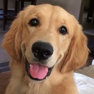 банановое царство