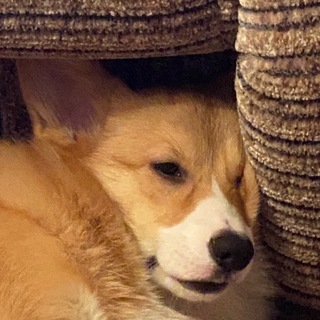 #бандаютуба - НИЩИЕ КРУЖКИ ОЧКОШНИКОВ