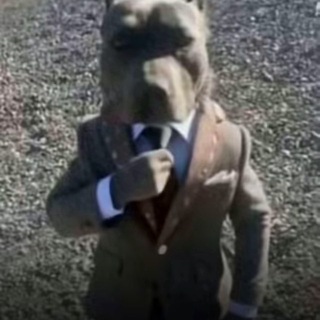 сквимиинфешен