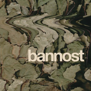 БАННОСТЬ | банные выезды в Петербурге