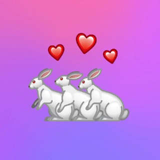 Бархатный WILDBERRIES🩰