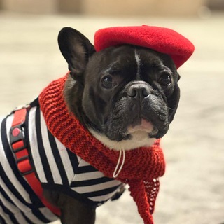 Бароша-скейтер❤️