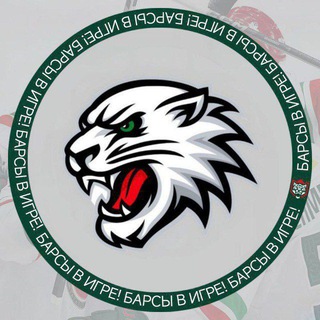 Барсы в игре! 🐾
