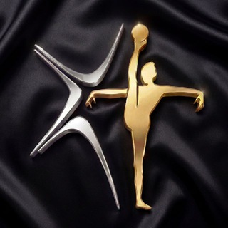 Центр гимнастики олимпийской чемпионки Юлии Барсуковой