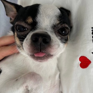 Любовь по бартеру и без ♥️