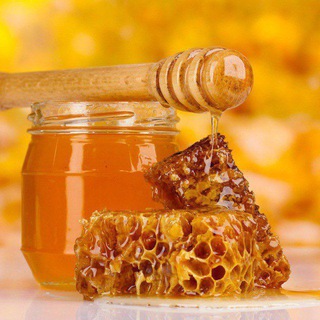 Башкирский мёд (2024-2025) 🐝