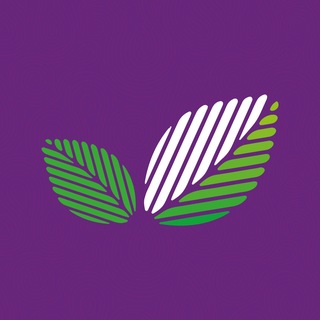 Базилик | Кафе и доставка еды | Донецк, Макеевка