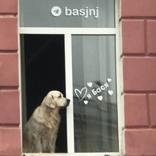 БасянЯ❤️