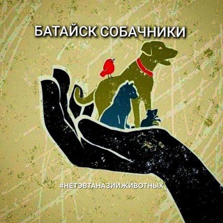 БАТАЙСК СОБАЧНИКИ 🐾🐕🐈‍⬛