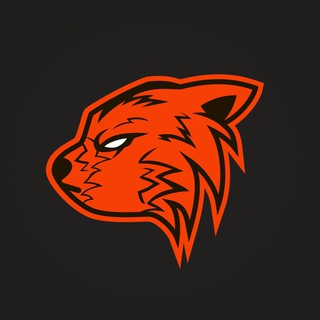 Панды в привычной среде обитания