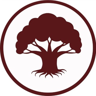 BAUMHAUS | Ваш проводник к дому мечты