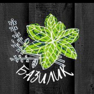 БАЗИЛИК 🌿 ДЖИГИНКА