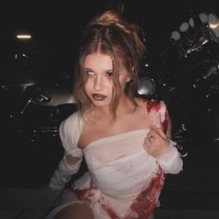 базы от никитки