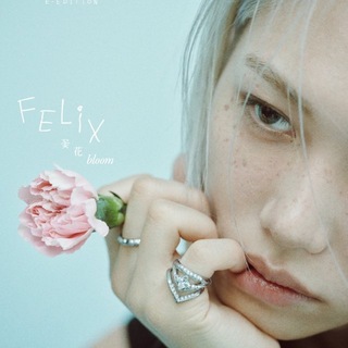 brownie 소년 ⋆ lee felix