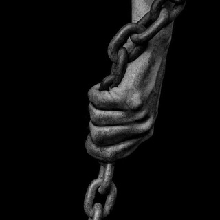 Территория силы