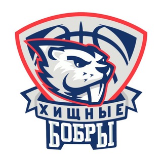 БК ВГУ «Хищные Бобры»