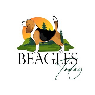 Beagles.today