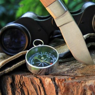 Выживший_Bear_Te