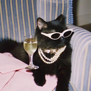 стадикэтс бьюти 💅🏻