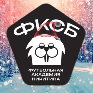 Футбольная Академия Никитина