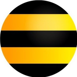 Beeline bonuslar va yangiliklar