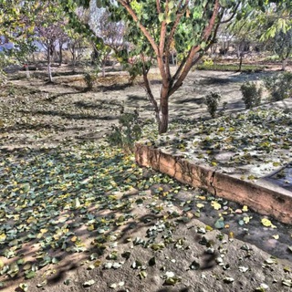 ᭢🌸ཱཱཱཱྀྀྀྀ࿆ 🇹‌҈ྀ🇦‌҈ྀ🇳‌҈ྀ🇽‌҈ྀ🇴‌҈ྀ 🌸ཱཱཱཱྀྀྀྀ࿆᭢