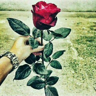 ༺➢꯭ཱཽུ࿆🐯꯭࿆🐾꯭࿆🇷᭄꯭ཱཱཱཱཱཽ࿆࿆ ꥊꥊꥊꥊꥊꥊꥌꥌꥌꥌ꤬꤬ꤧཱཽུ🇦᭄꯭꯬ཱཱཽུུ࿆࿆ 🇩᭄꯭ཱཽུ࿆ 🇳ཱཽུ ᭄꯭꯭꯭࿆🇴꯭ཱཽུ ᭄꯭ꯥཽ᤻᤻࿆࿆🇾᭄꯭꯭᪾᪾ཱཱཽུུ᪶᤻᤻ ࿆🇱᭄꯭꯭ཽ࿆ ꯭࿆࿆🇦᭄꯭ཱཱཽུུ࿆ ࿆🇷꯭ཱཱཽྀྀ࿆