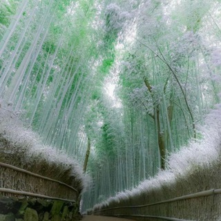 🖤🥀Da̷Vo̷M★ Et̷Ad̷i̷ ★Ha̷YOt̷★🐊🥀🖤🤜🤛 - ⁽🌷✨₎ֆ ( uyda qoling )