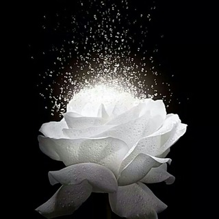 ͜͡͡꧁͜͡࿇͜͡𖣐͜͡✵σиℓιиє ¢нαт✵͜͡ ͜͡𖣐͜͡࿇͜͡꧂͜͜͡: