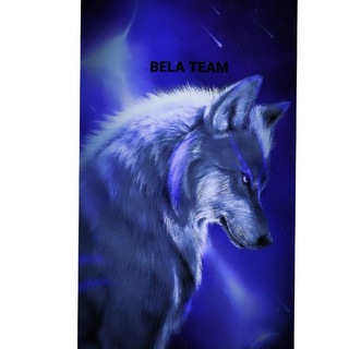 Bela team