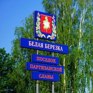 БЕЛАЯ БЕРЕЗКА ᅠ