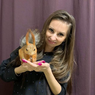 Бельчонок в доме