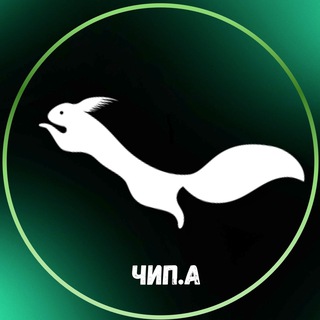 В поисках Гайки