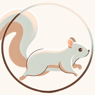 Белка в колесе