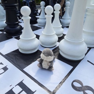 Белка Булка читает. Детские книги, обучение, развитие, психология.