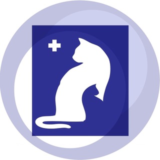 Ветклиника "Белый кот" Фили🐶🐱 🐭🐰