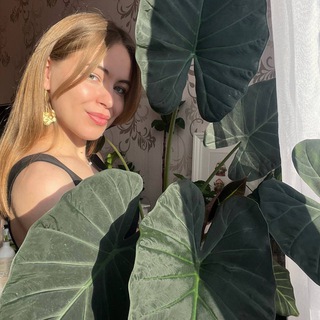 Bella Pianta Комнатные растения 🌱