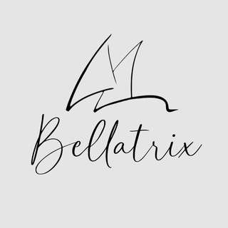 Экспедиции на парусниках и лайнерах по миру