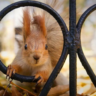 Петербург. Вот где я была