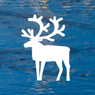 Администрация Белоярского района (Югра)