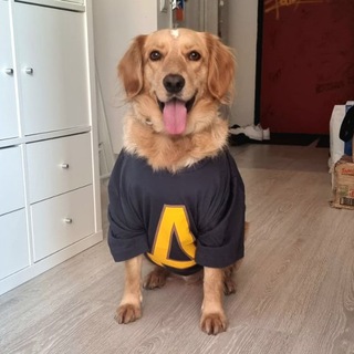 Бенджамин, пёс-актёр