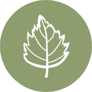 BERËZA. НОЖИ ДЛЯ КУХНИ